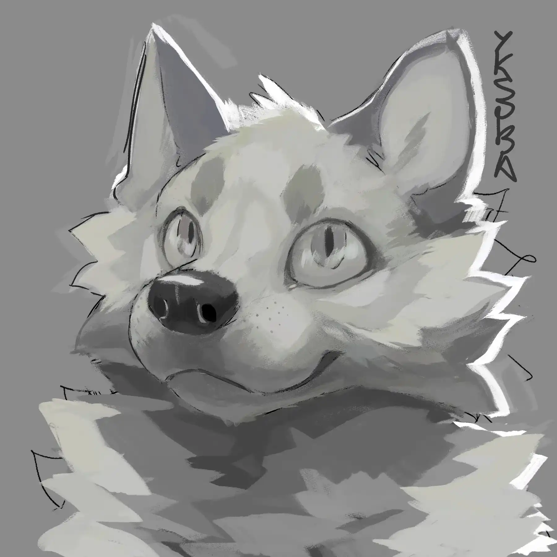 fox-study