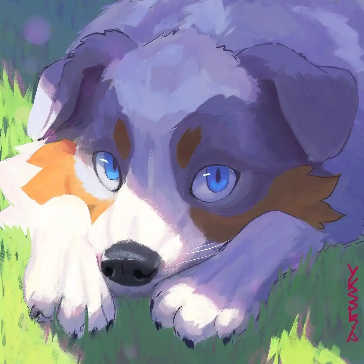 dog-study
